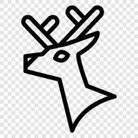 Antler, Buck, Elk, Deer icon svg