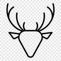 Antler, Mule Deer, Elk, Bighorn Sheep icon svg