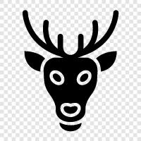 Antler, Bucks, Mule Deer, Antlerless Deer icon svg