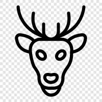 Antler, Hunting, Taxidermy, Deer icon svg