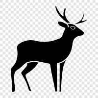 Antler, Ruminant, Red Deer, Cervus elaph icon svg