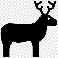 antlers, buck, hunting, taxidermy icon svg