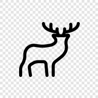 Antlers, Bucks, Elk, Rifles icon svg