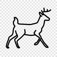 antlers, buck, hunting, venison icon svg