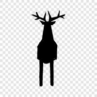 Antlers, Hunting, Outdoors, Photos icon svg