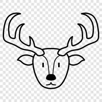 Antlers, Hunting, Elk, White tailed deer icon svg