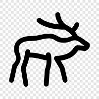 antlers, hunting, fishing, quarry icon svg