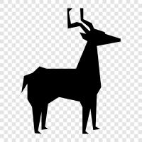 antlers, buck, hunting, harvest icon svg