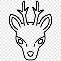 antlers, bucks, hunting, hunting tips icon svg