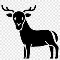 antlers, bucks, hunting, hunting season icon svg