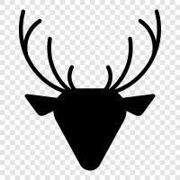 Antlers, Hunting, Farm, Cows icon svg