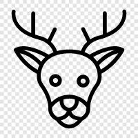 antlers, fur, Christmas, Rudolph icon svg