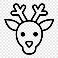 antlers, hunting, hunting rifles, hunting tips icon svg