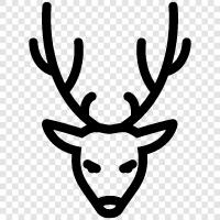 antlers, bucks, hunting, hunting season icon svg