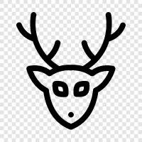antlers, bucks, hunting, animal icon svg