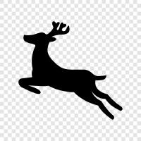 antlers, buck, hunting, habitat icon svg