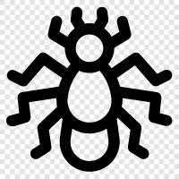 Ameisen, Ameisenkolonie, Ameisenfarm, Ameisenhügel symbol