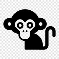 ape, baboon, macaque, gibbon icon svg