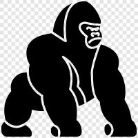 ape, silverback, mountain gorilla, Bornean orangutan icon svg