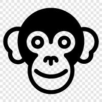 ape, animal, behavior, intelligence icon svg