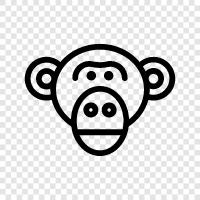 ape, human, behavior, intelligence icon svg