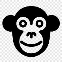 ape, gibbon, siamang, baboon icon svg