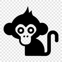 ape, simian, primate, monkey icon svg