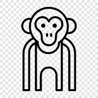 maymun, primate, simian, sloth ikon svg