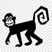 ape, primate, simian, anthropoid icon svg