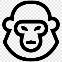 ape, hairy, silverback, black icon svg