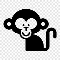 ape, baboon, primate, simian icon svg