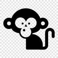 ape, primate, gibbon, baboon icon svg