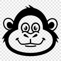 maymun, primate, simian, monkey bak ikon svg