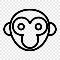 ape, primate, simian, monkey icon svg