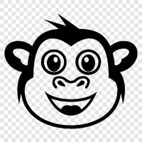 maymun, simian, primate, tropikal ikon svg