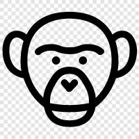 ape, primate, simian, furry icon svg