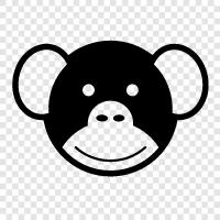 ape, primate, simian, monkey icon svg