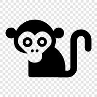 ape, primate, simian, gibbon icon svg