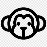 ape, primate, simian, gibbon icon svg