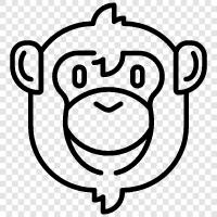 ape, baboon, gibbon, tamarin icon svg