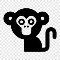 ape, primate, simian, furry icon svg