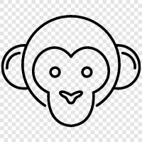 ape, baboon, chimp, gibbon icon svg