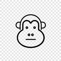 maymun, simian, primate, gibbon ikon svg