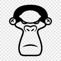 ape, human, primate, simian icon svg