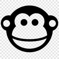 maymun, simian, primate, gibbon ikon svg