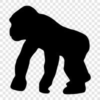 ape, silverback, jungle, animal icon svg