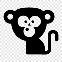 ape, gibbons, siamang, chimpanzee icon svg