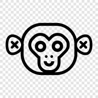 ape face, human face, monkey face pictures, monkey pictures icon svg