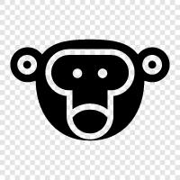 ape face, human face, monkey features, human features icon svg