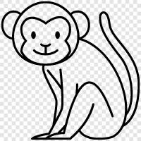 ape, animal, primate, furry icon svg